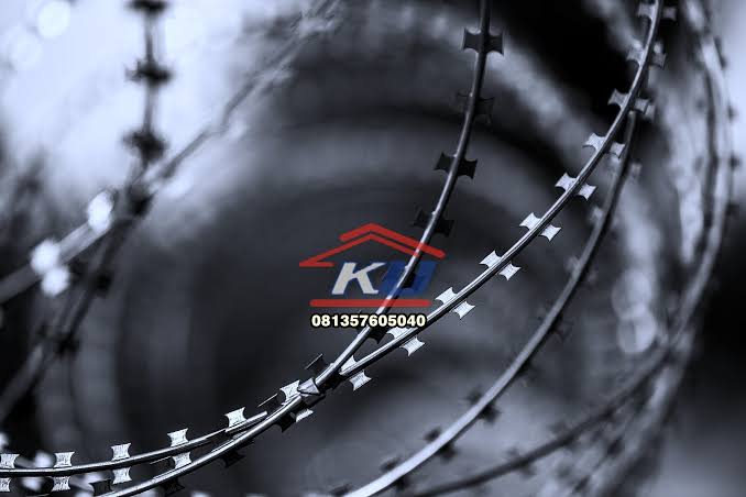 harga kawat duri bwg 14 galvanis jual kawat duri silet BTO 22